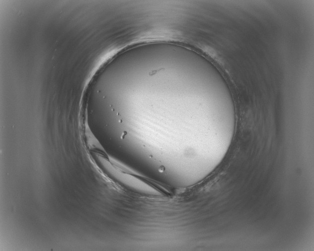 X0000061731469200512161609