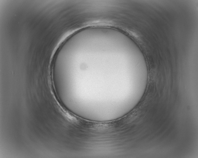 X0000061731470200512161609