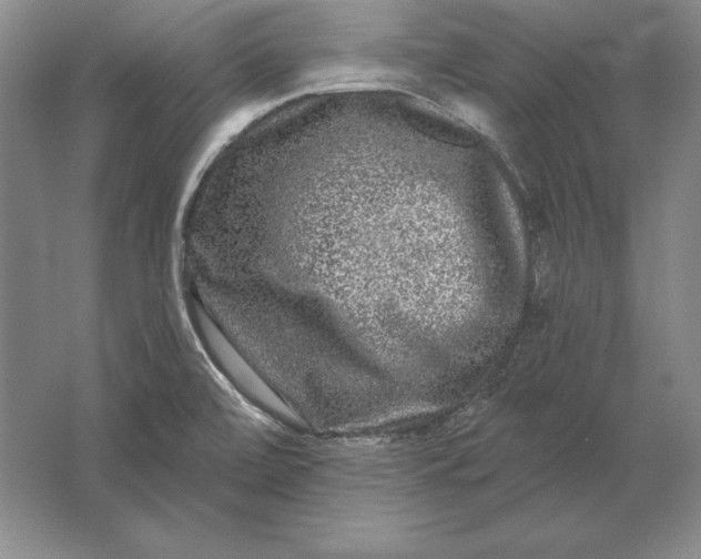 X0000061731472200512161609