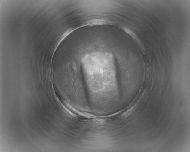 X0000061731473200512161609