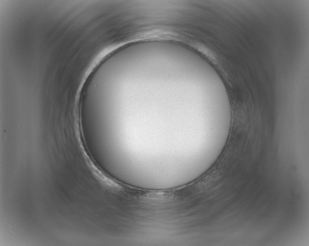 X0000061731478200512161609