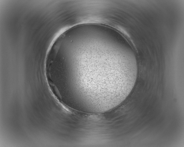 X0000061731480200512161609