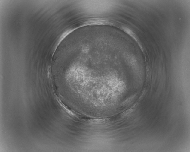 X0000061731481200512161609