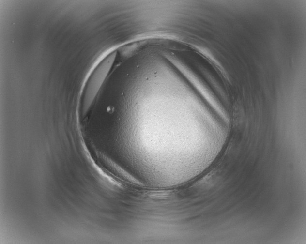 X0000061731484200512161609