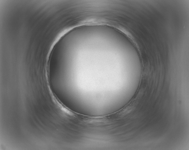 X0000061731486200512161608