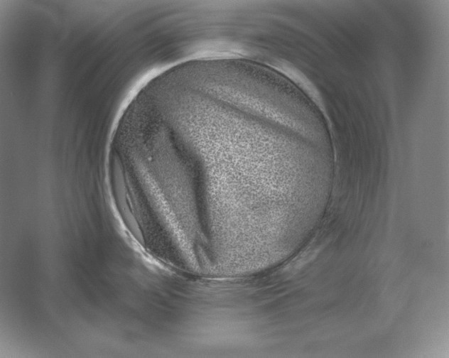 X0000061731488200512161608