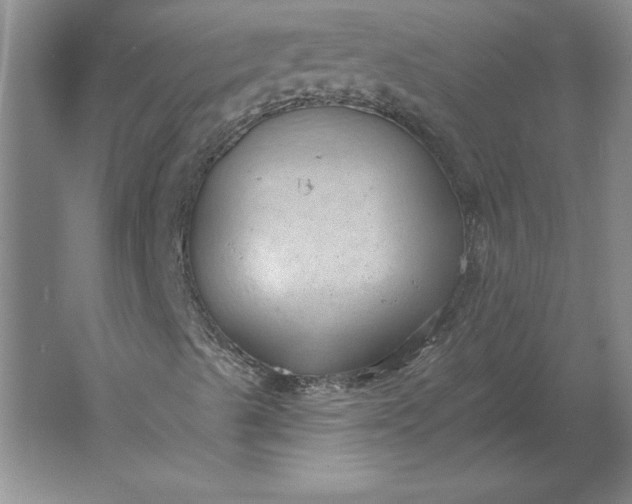 X0000061731489200512161608