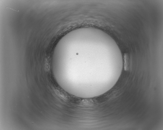 X0000061731491200512161608