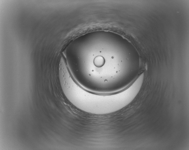 X0000061731492200512161608