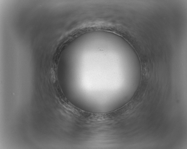 X0000061731493200512161608