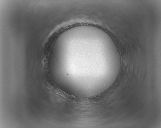 X0000061731495200512161608