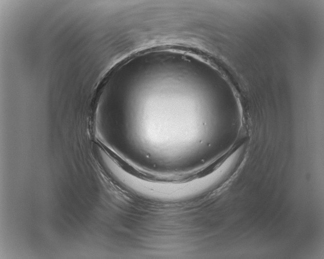 X0000061731497200512161608