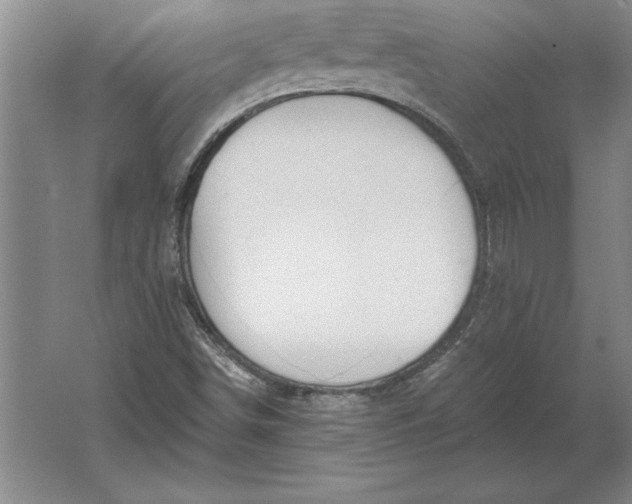 X0000061731498200512161608