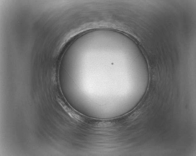 X0000061731499200512161608