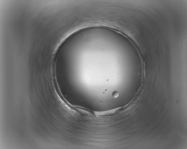 X0000061731500200512161608