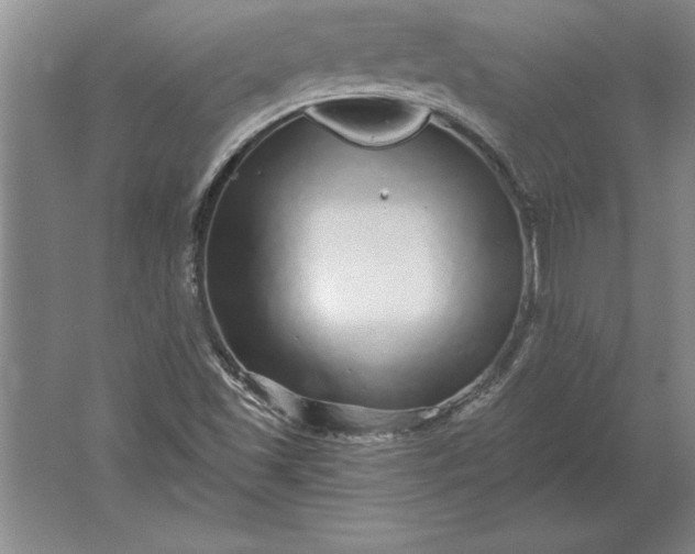 X0000061731501200512161608