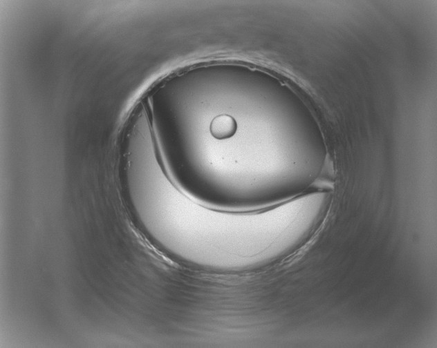 X0000061731502200512161608