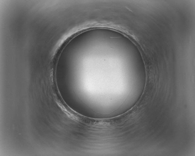 X0000061731503200512161608