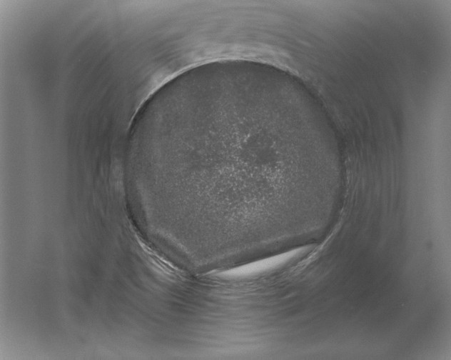 X0000061731505200512161608