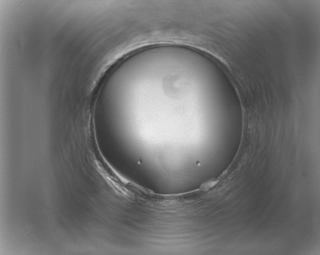 X0000061731507200512161608