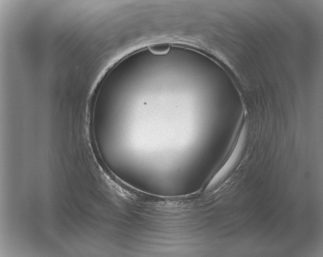 X0000061731508200512161608