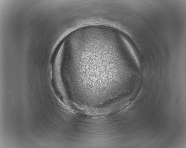 X0000061731509200512161608