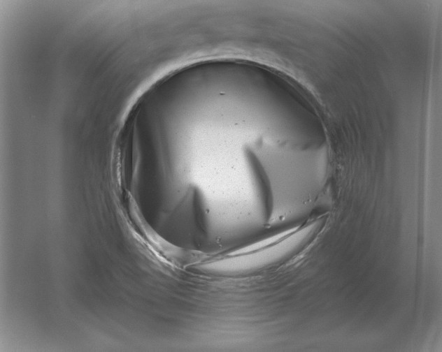 X0000061731510200512161608