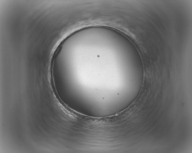 X0000061731512200512161608