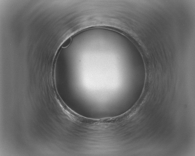 X0000061731513200512161608