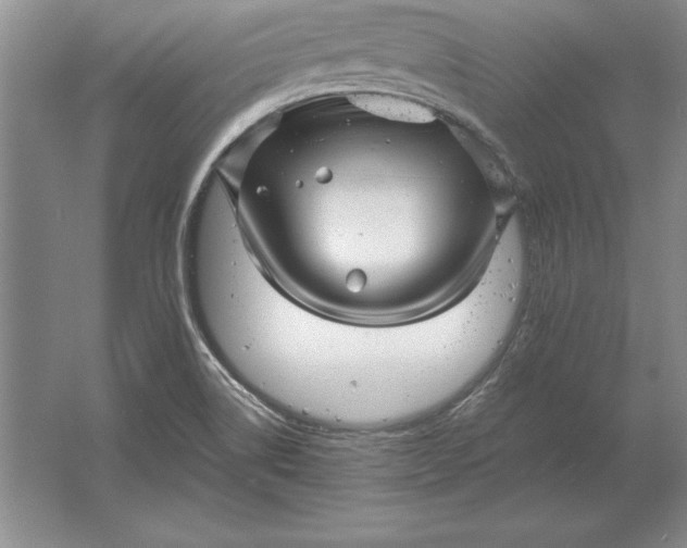 X0000061731514200512161608