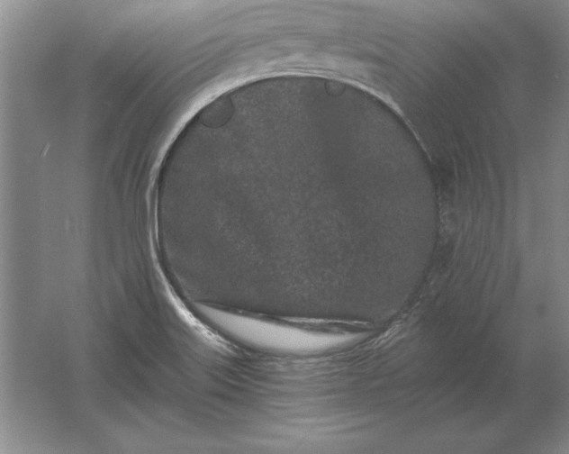 X0000061731515200512161608