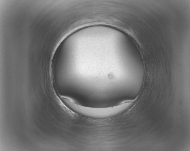 X0000061731516200512161608