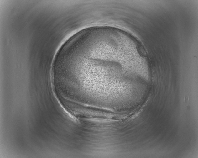 X0000061731517200512161608