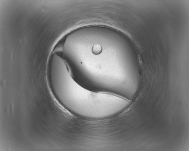 X0000061731518200512161608