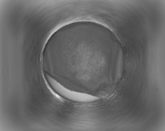 X0000061731519200512161608