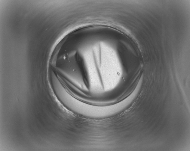 X0000061731520200512161608