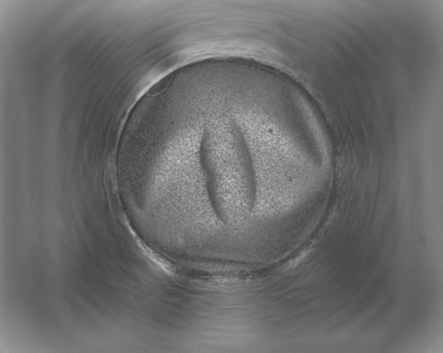 X0000061731521200512161608