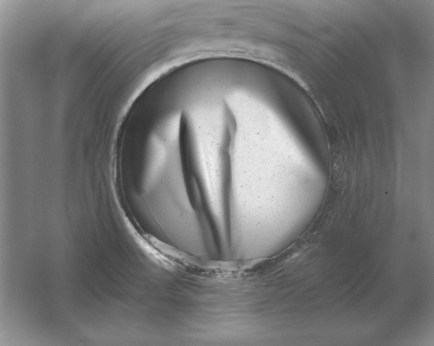 X0000061731523200512161608