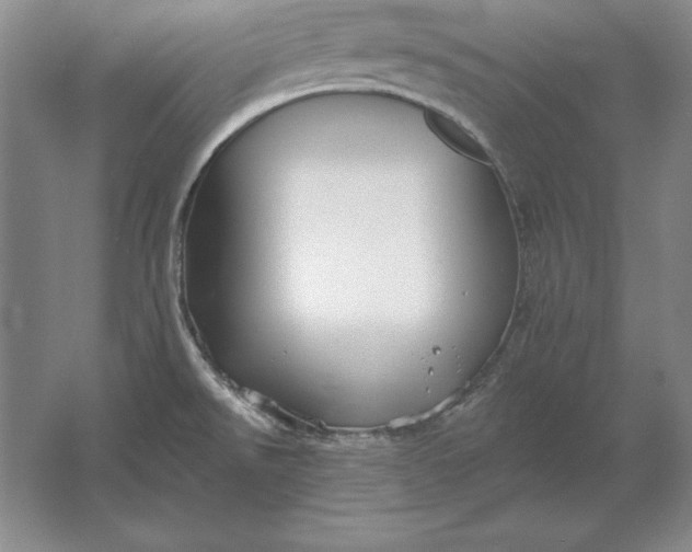 X0000061731526200512161608