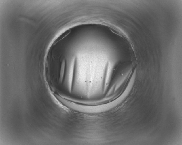 X0000061731528200512161608