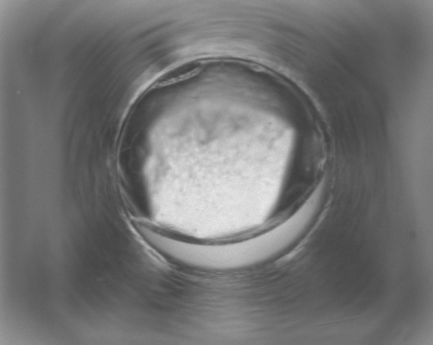 X0000061731529200512161608