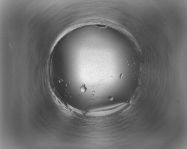 X0000061731530200512161608