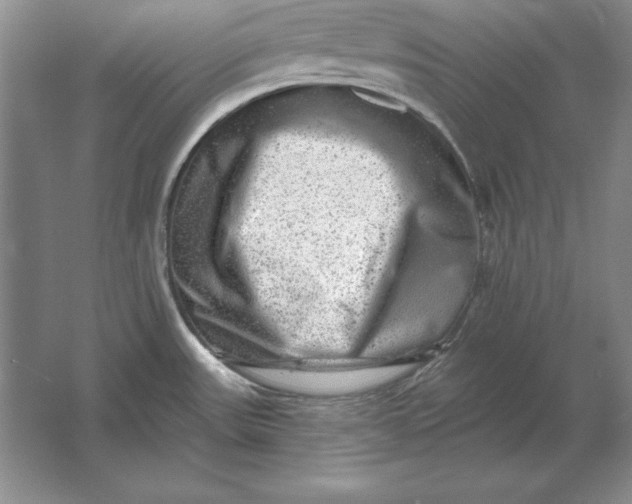 X0000061731531200512161608