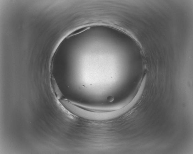 X0000061731532200512161608