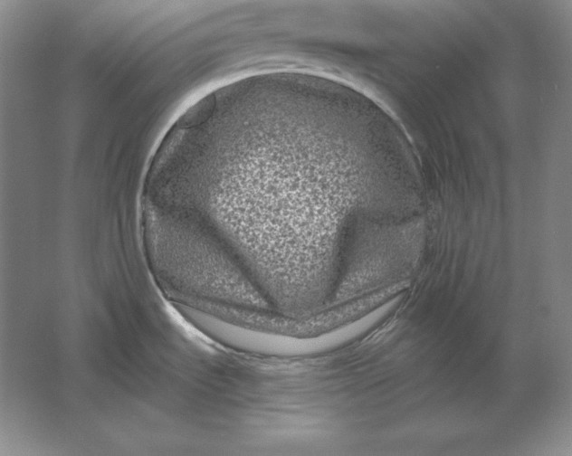 X0000061731535200512161608