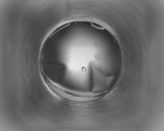 X0000061731536200512161608