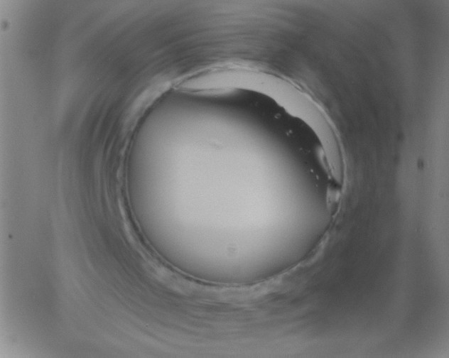 X0000061730001200512231446