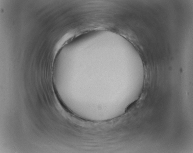 X0000061730003200512231446