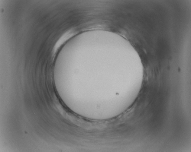 X0000061730004200512231446