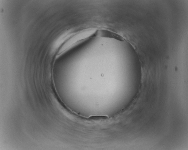 X0000061730005200512231446